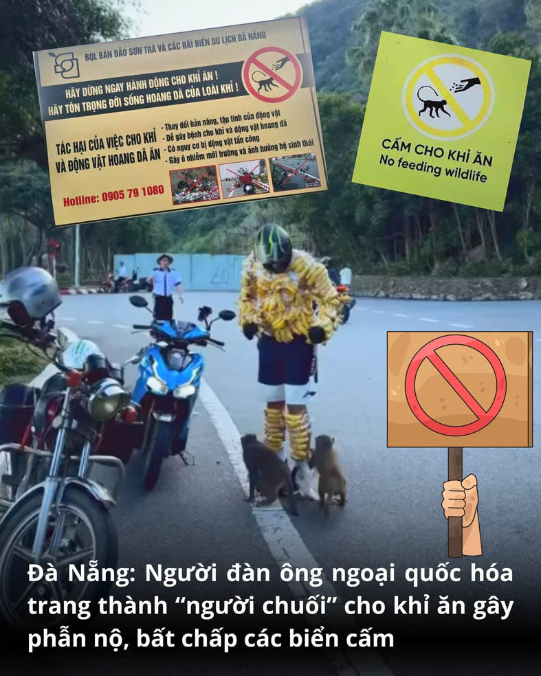 Du khách cho động vật hoang dã ăn tại khu du lịch: Đi ngược với nguyên tắc bảo tồn