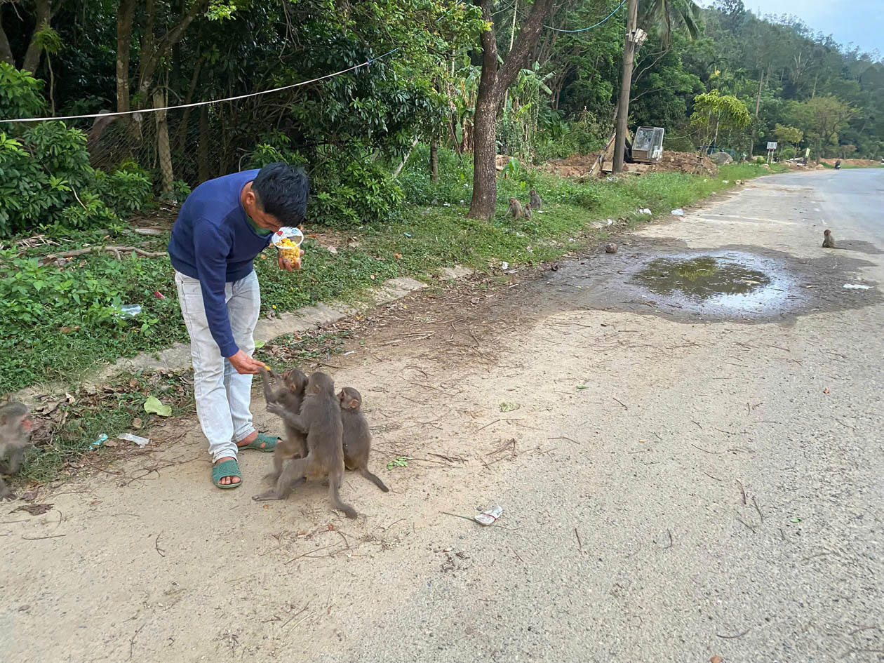 Du khách cho động vật hoang dã ăn tại khu du lịch: Đi ngược với nguyên tắc bảo tồn