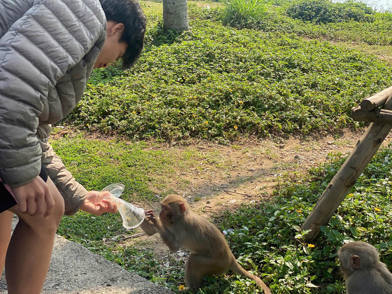 Du khách cho động vật hoang dã ăn tại khu du lịch: Đi ngược với nguyên tắc bảo tồn