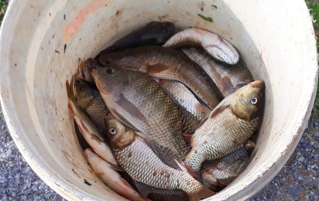 Nỗi đau dưới lòng sông: Khi dòng nước không còn bình yên