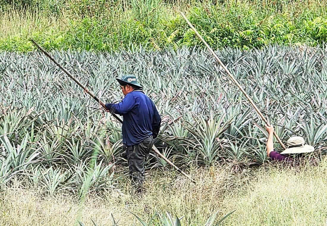 Nỗi đau dưới lòng sông: Khi dòng nước không còn bình yên