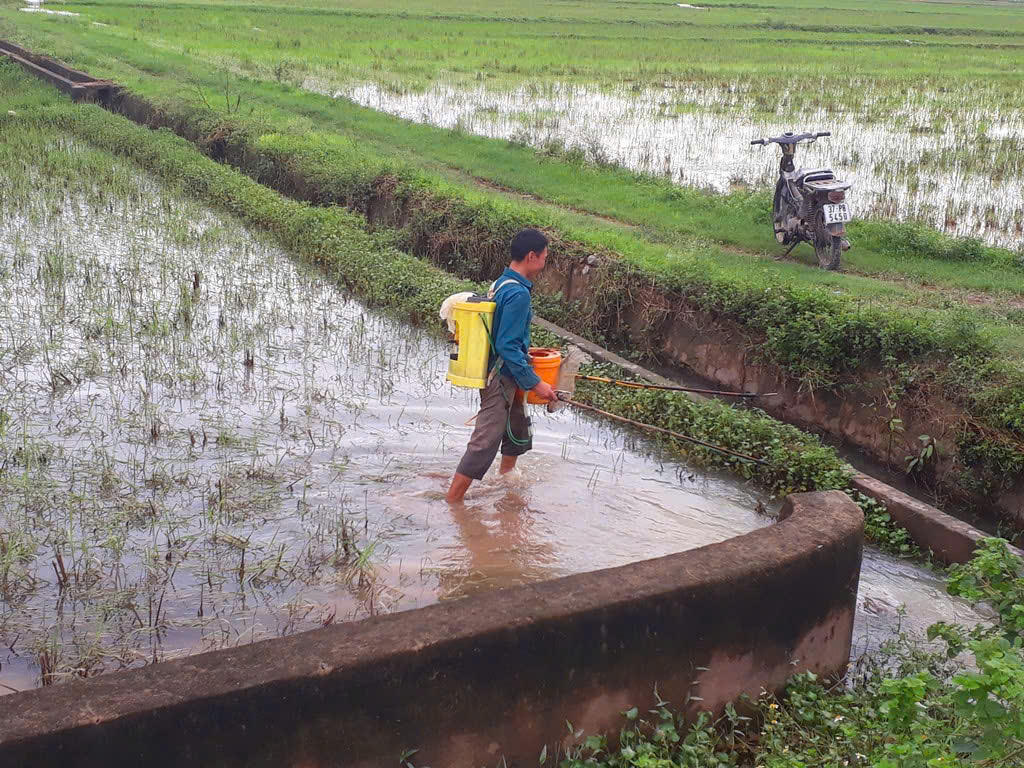 Nỗi đau dưới lòng sông: Khi dòng nước không còn bình yên