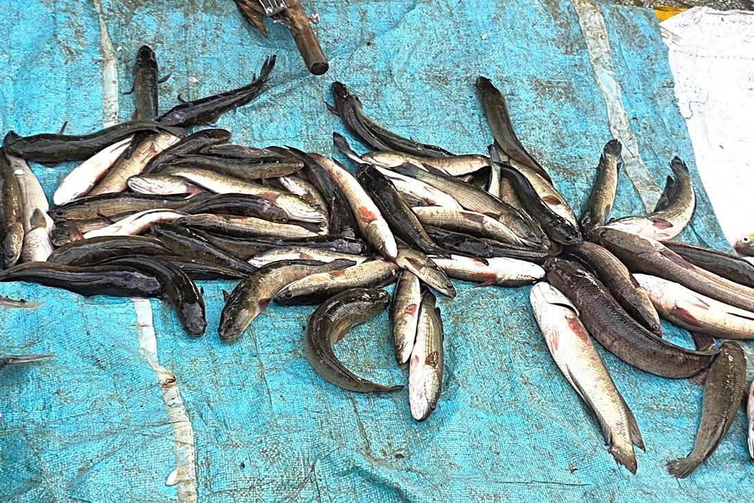 Nỗi đau dưới lòng sông: Khi dòng nước không còn bình yên