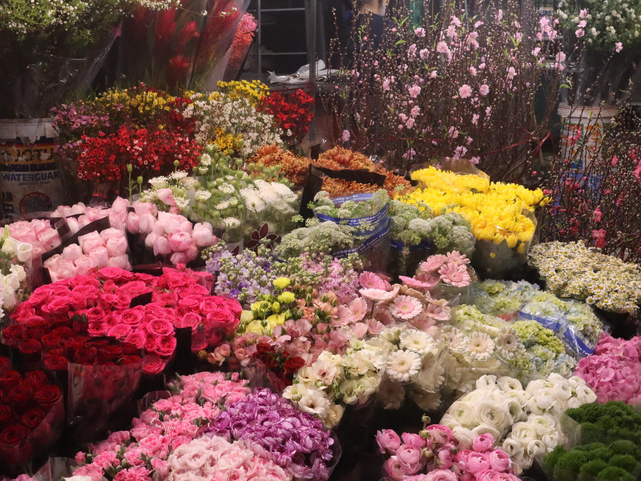 Chiều xuống ở chợ hoa Quảng Bá