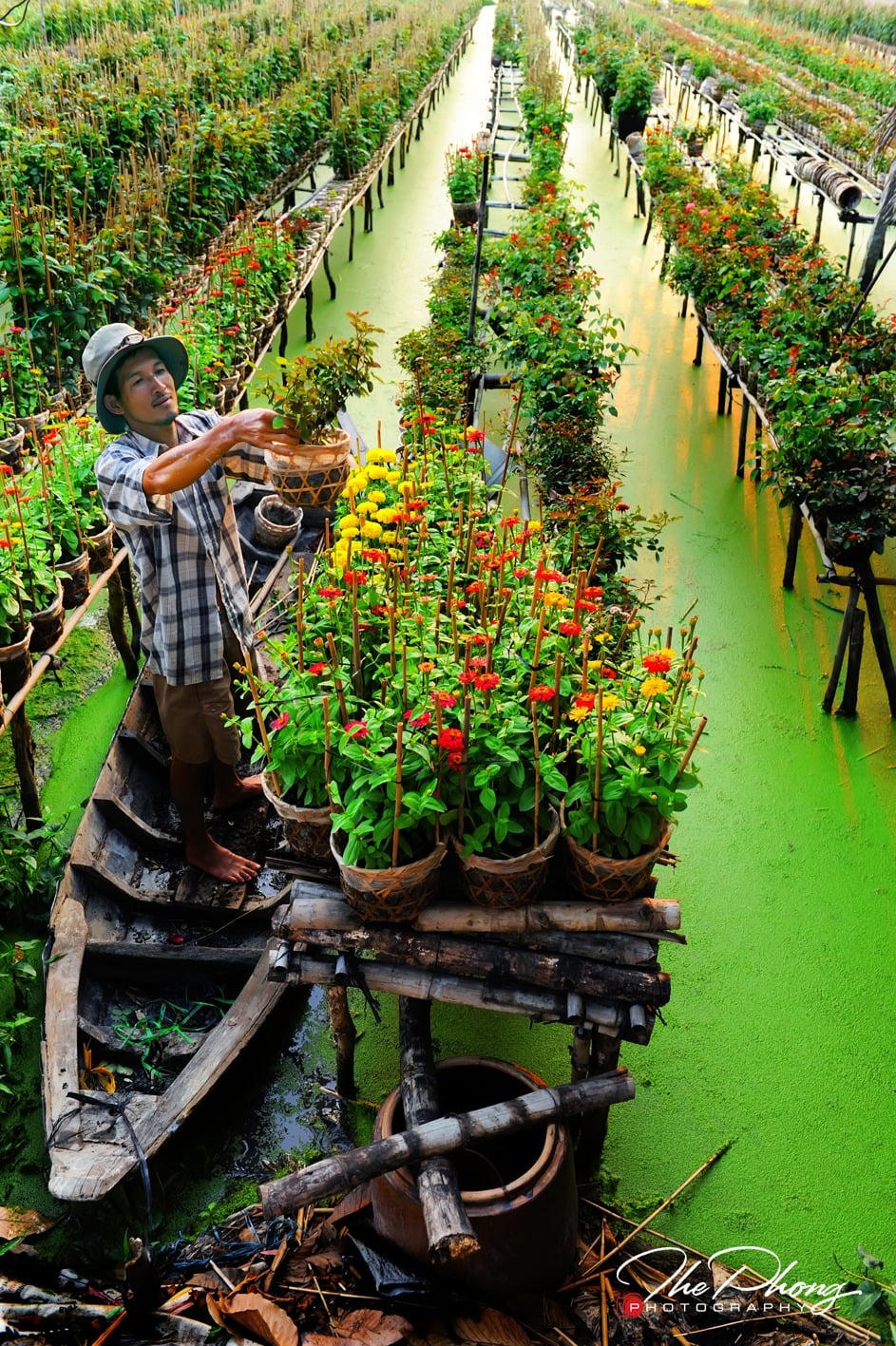 Rước xu&acirc;n về 1