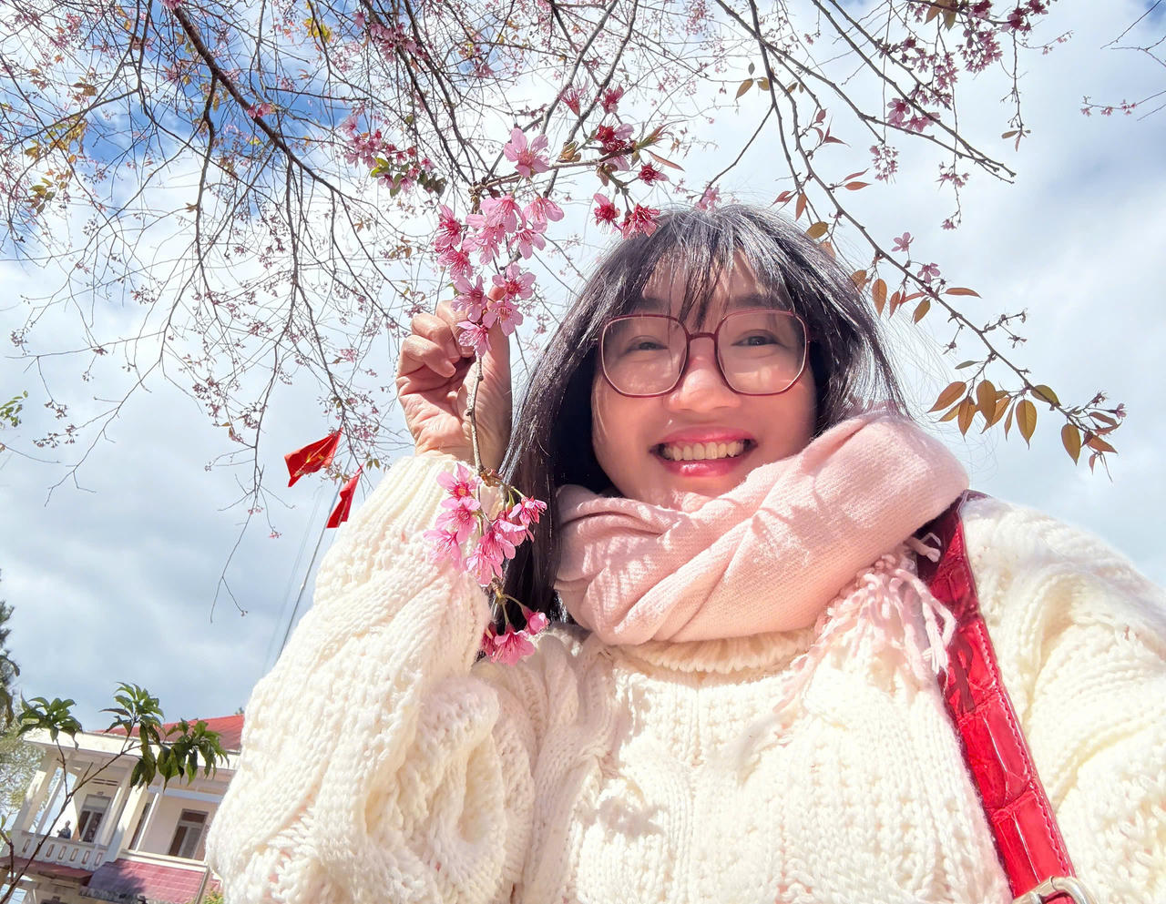 Mai anh đào nở rộ trước thềm Tết, Măng Đen hút khách du lịch