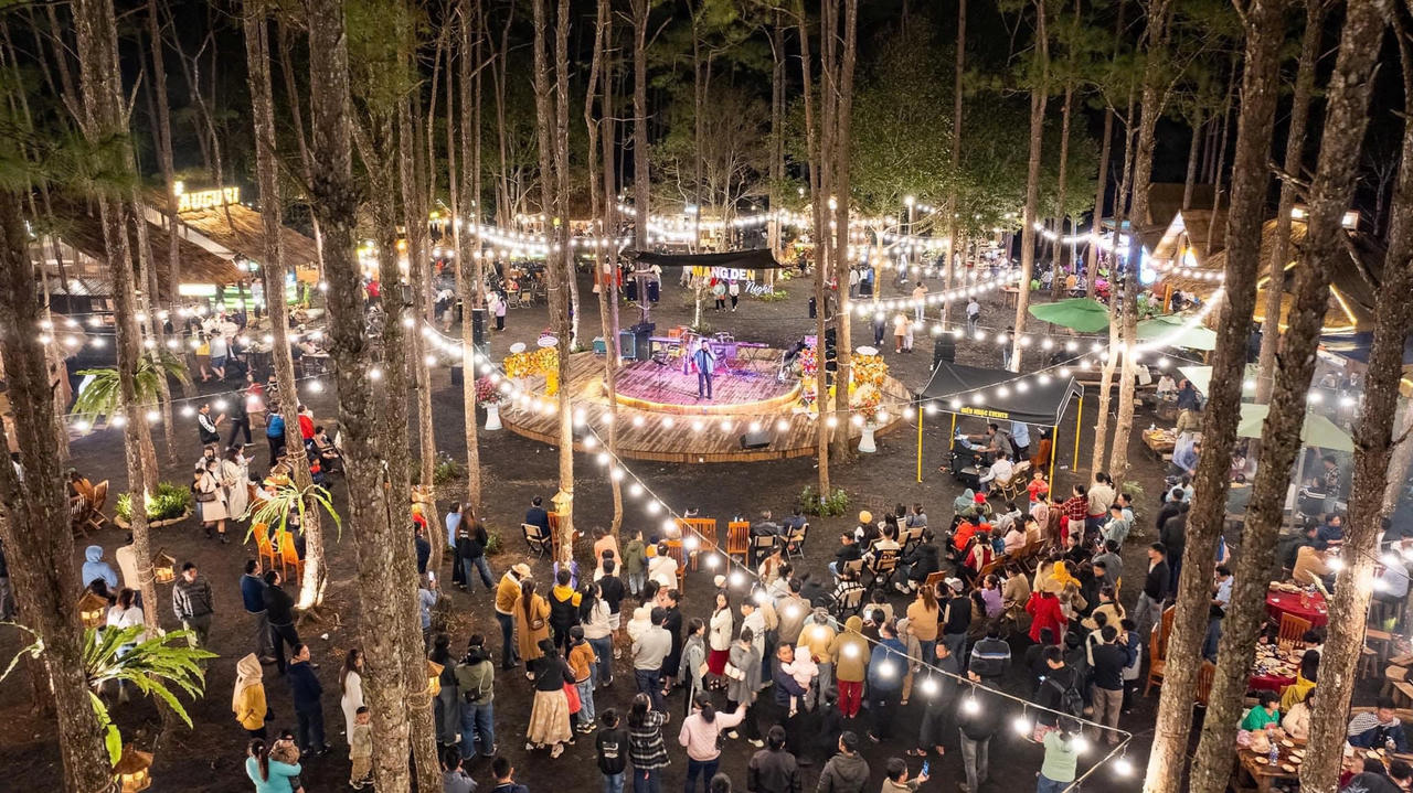 Mai anh đào nở rộ trước thềm Tết, Măng Đen hút khách du lịch