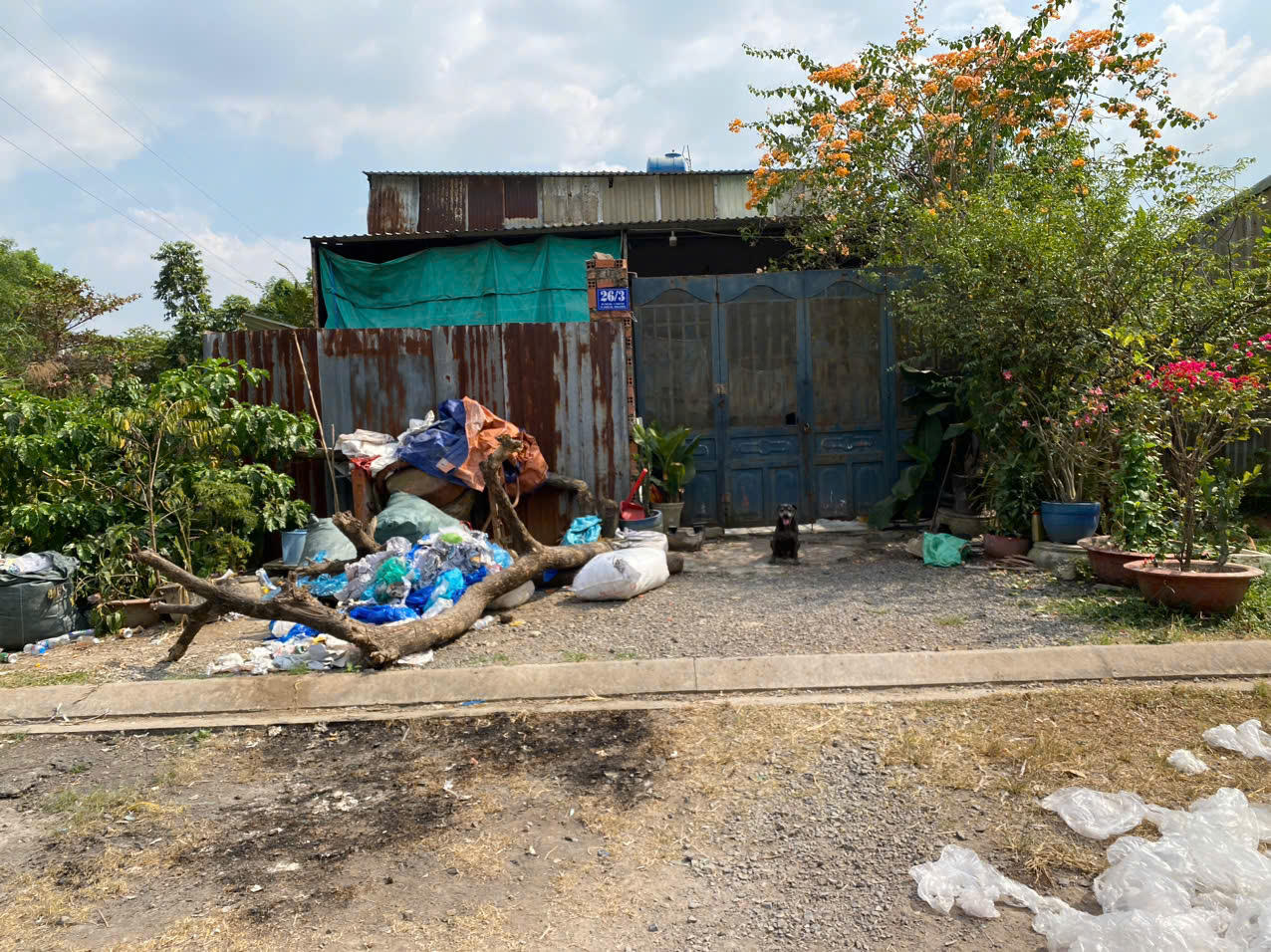 TP HCM: Tranh luận pháp lý về một hợp đồng chuyển nhượng đất bị tòa tuyên vô hiệu