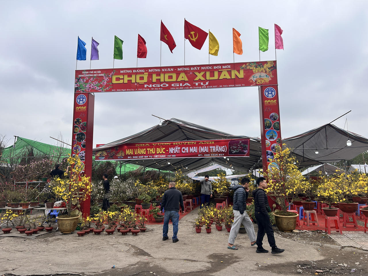 Phố phường H&agrave; Nội rộn r&agrave;ng đ&oacute;n Tết Nguy&ecirc;n đ&aacute;n