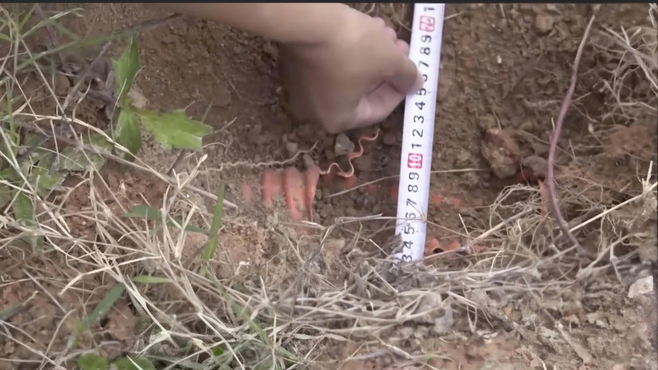 Lực lượng chức năng tiến h&agrave;nh đo đạc hiện trường, kiểm tra độ s&acirc;u c&aacute;p điện bị cắt.