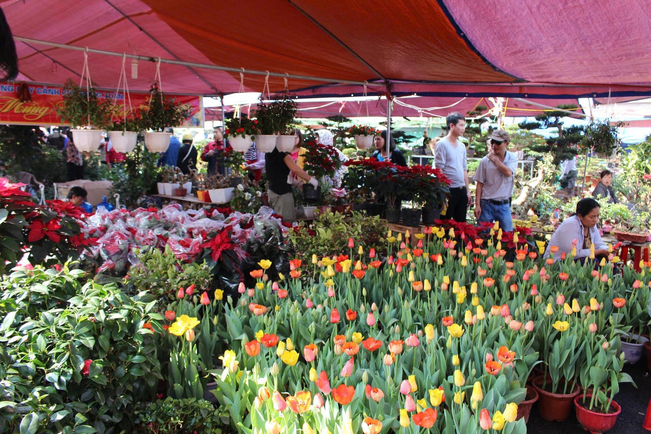 Một g&oacute;c chợ hoa, c&acirc;y lộc.