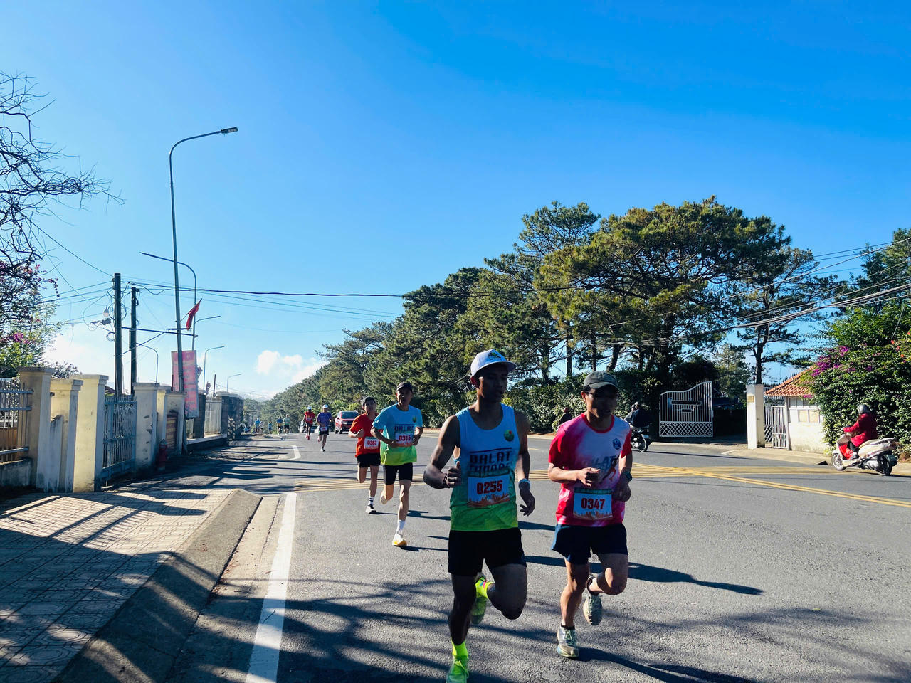 Gần 500 vận động viên tranh tài giải chạy “Lâm Viên – Đà Lạt nhịp bước Xuân mới”