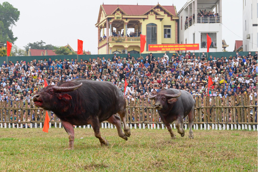 Kh&ocirc;ng kh&aacute;ng cự nổi với c&uacute; h&uacute;c hiểm h&oacute;c của đối thủ, một số &ldquo;&ocirc;ng Cầu&rdquo; phải bỏ chạy tho&aacute;t th&acirc;n.