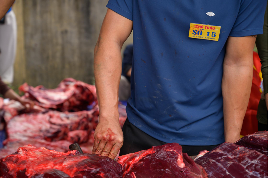 Tr&acirc;u chọi b&igrave;nh thường c&oacute; gi&aacute; khoảng 1 triệu đồng/c&acirc;n, tr&acirc;u v&ocirc; địch gi&aacute; c&oacute; thể l&ecirc;n tới 5 triệu đồng/c&acirc;n.