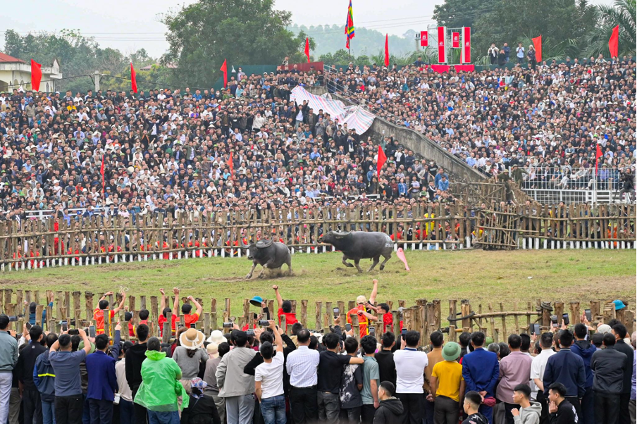 Lễ hội chọi tr&acirc;u Hải Lựu năm nay c&oacute; 20 &ldquo;&ocirc;ng Cầu&rdquo; của 20 th&ocirc;n tham gia thi đấu, thu h&uacute;t h&agrave;ng chục ngh&igrave;n người d&acirc;n x&atilde; Hải Lựu (Ph&uacute; Thọ) v&agrave; nhiều v&ugrave;ng l&acirc;n cận của c&aacute;c tỉnh, th&agrave;nh đến xem v&agrave; cổ vũ.
