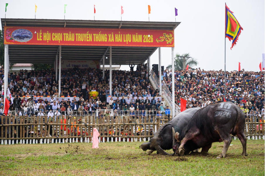 Tr&ecirc;n sới chọi b&aacute;n kết l&agrave; m&agrave;n đấu kịch t&iacute;nh giữa cặp đ&ocirc;i số 16 v&agrave; số 05.