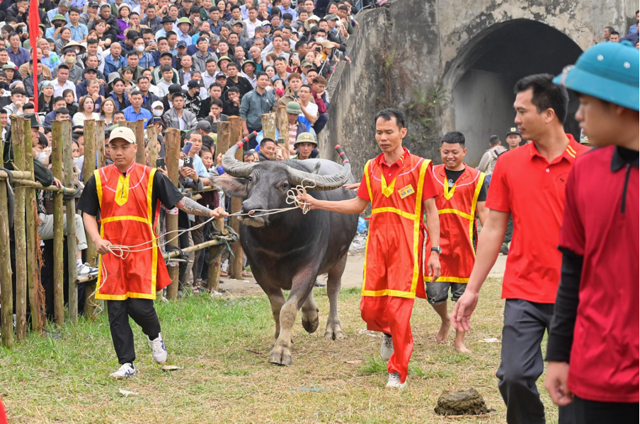 &ldquo;&Ocirc;ng Cầu&rdquo; mang số 05 cũng ch&iacute;nh l&agrave; &ldquo;nh&agrave; v&ocirc; địch&rdquo; cho m&ugrave;a hội năm nay.