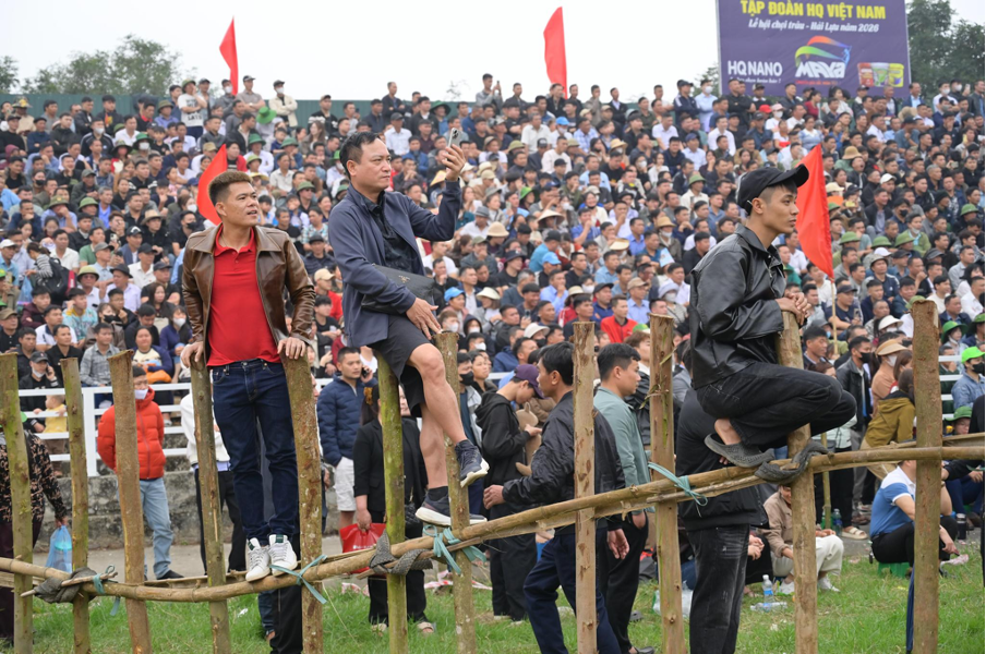 Lễ hội chọi tr&acirc;u Hải Lựu: Cuộc so t&agrave;i 'nghẹt thở'