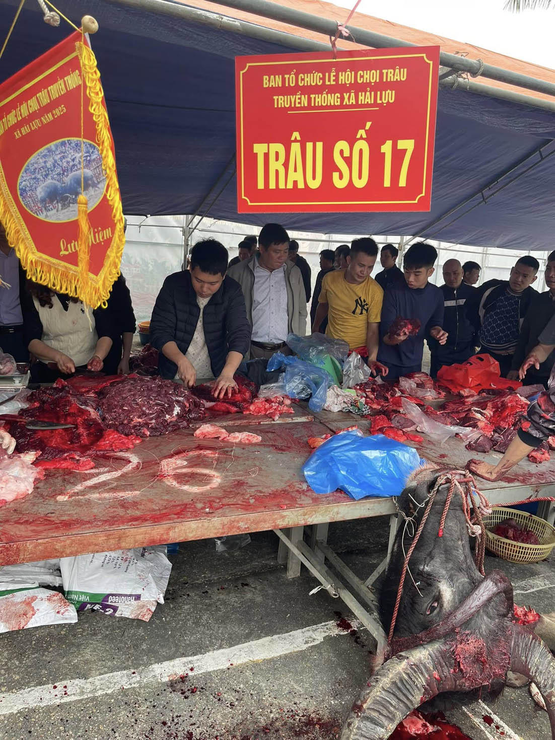 Con tr&acirc;u số 17 bị giết thịt tại Lễ hội chọi tr&acirc;u Hải Lựu năm 2025. (Ảnh: Đức Thịnh)