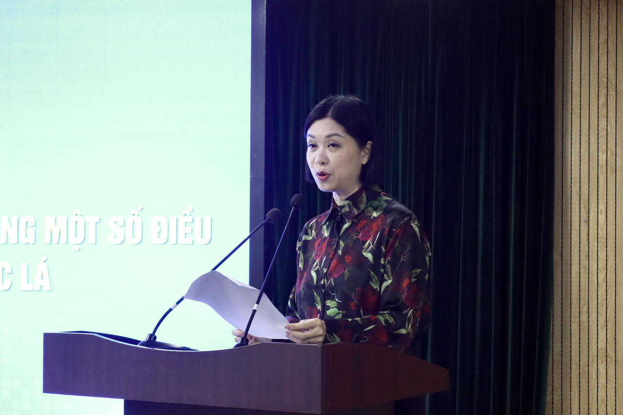 Đại diện Bộ Y tế ph&aacute;t biểu tại hội nghị.