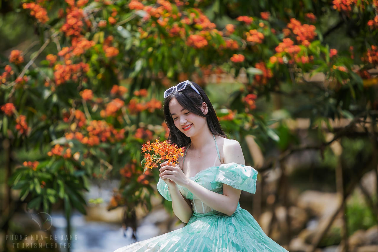 Hoa Vàng Anh khoe sắc giữa lòng Di sản Phong Nha – Kẻ Bàng