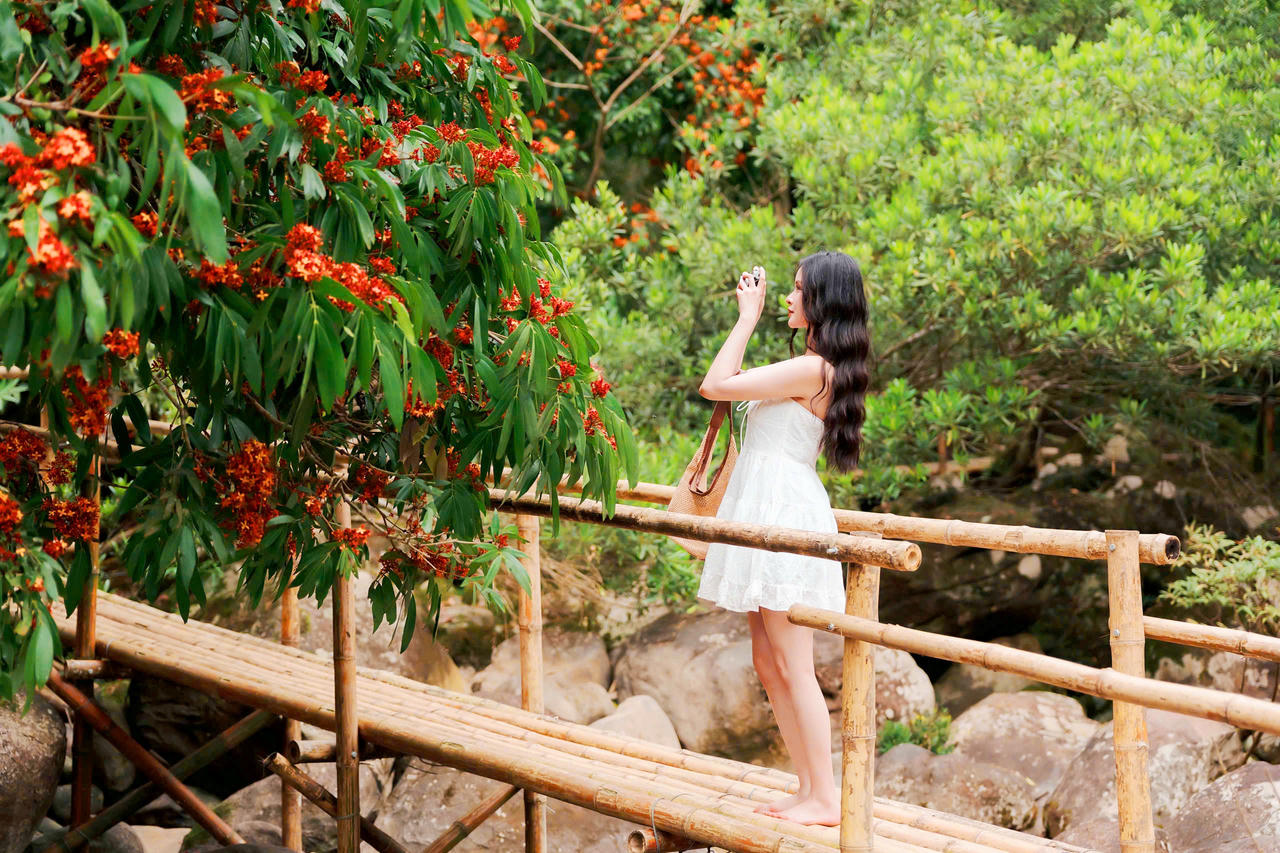 Hoa Vàng Anh khoe sắc giữa lòng Di sản Phong Nha – Kẻ Bàng