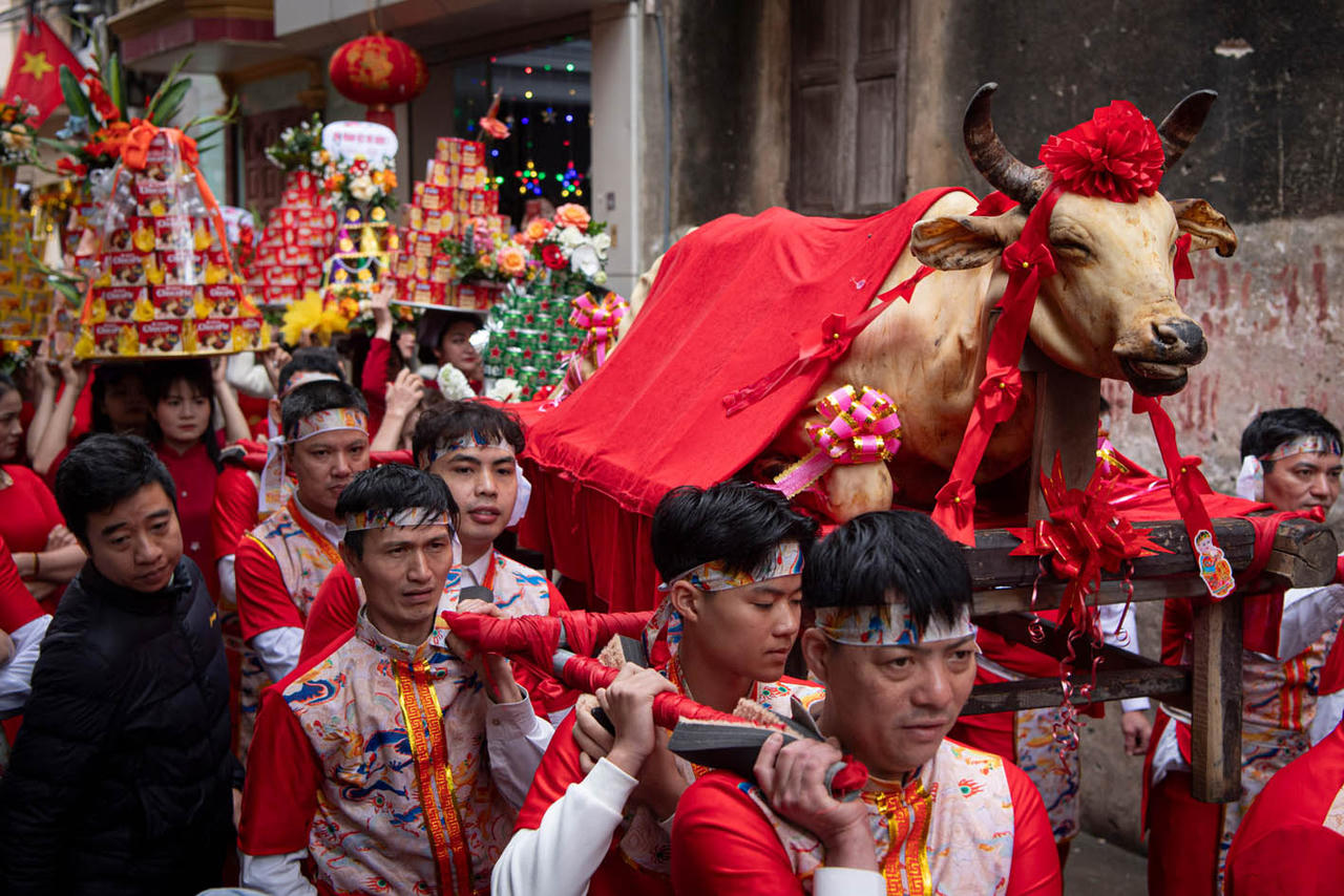 Tr&ecirc;n m&acirc;m lễ vật d&acirc;ng l&ecirc;n c&aacute;c vị th&aacute;nh, thần c&oacute; một con b&ograve; thui được phủ k&iacute;n bằng vải lụa điều, ngo&agrave;i ra c&ograve;n c&oacute; rất nhiều sản vật đặc trưng được c&aacute;c x&oacute;m, d&ograve;ng họ, gia đ&igrave;nh chăm ch&uacute;t chuẩn bị từ trước. (Ảnh: Sơn T&ugrave;ng)