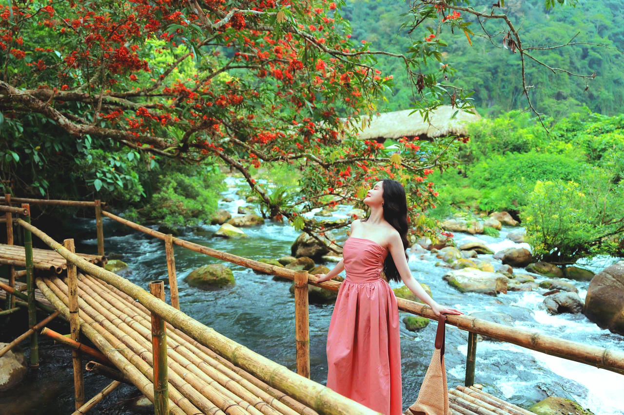 Hoa Vàng Anh khoe sắc giữa lòng Di sản Phong Nha – Kẻ Bàng