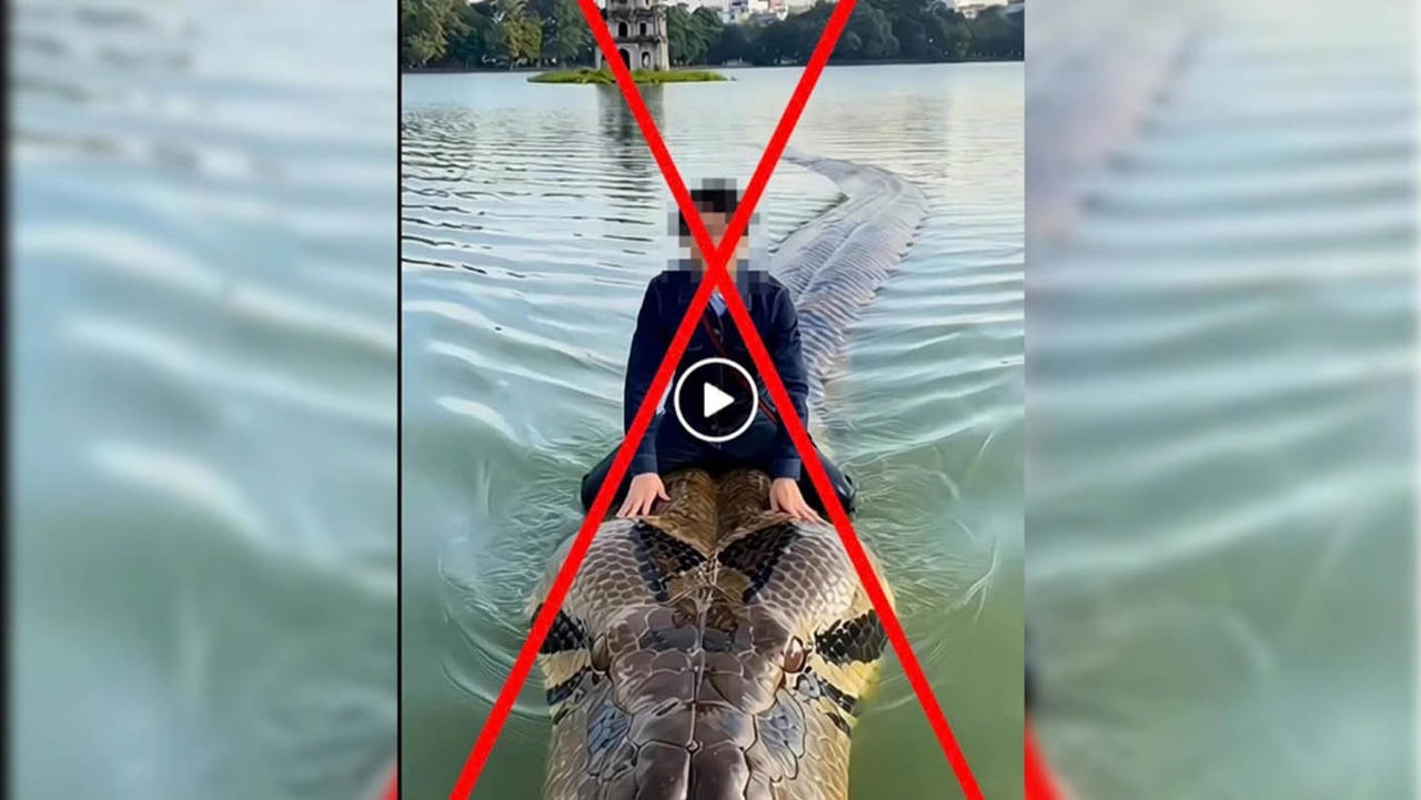 Video sử dụng AI c&oacute; nội dung sai sự thật.