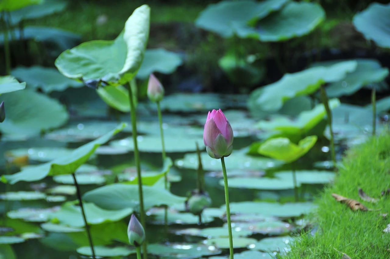 Những điều v&ocirc; h&igrave;nh chi phối cuộc đời con người 1