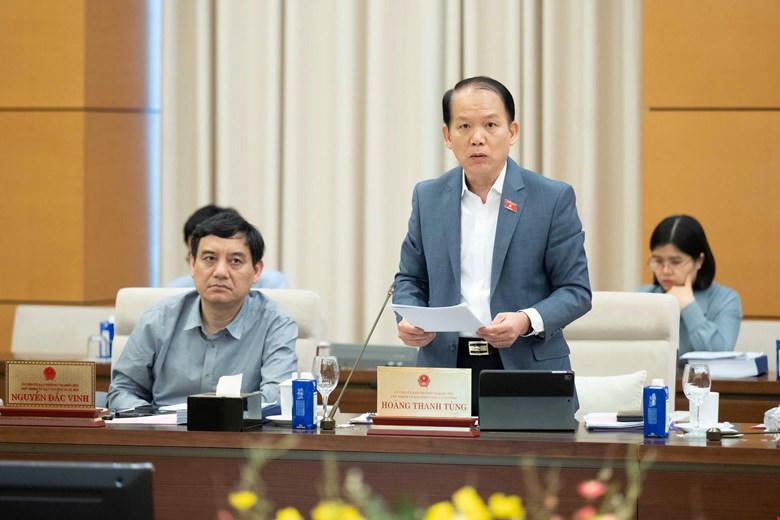 Chủ nhiệm Uỷ ban Ph&aacute;p luật v&agrave; Tư ph&aacute;p Ho&agrave;ng Thanh T&ugrave;ng tr&igrave;nh b&agrave;y t&oacute;m tắt B&aacute;o c&aacute;o thẩm tra sơ bộ dự &aacute;n Luật.