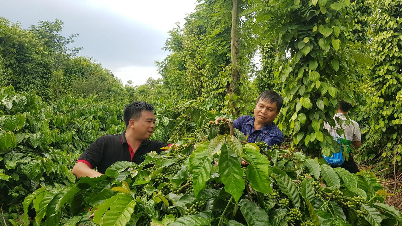 C&aacute;c cải thiện về ph&aacute;p quyền kh&ocirc;ng chỉ thể hiện tr&ecirc;n hiệu quả hoạt động của c&aacute;c cơ quan, m&agrave; c&ograve;n được người d&acirc;n cảm nhận r&otilde; r&agrave;ng trong đời sống hằng ng&agrave;y (H&igrave;nh minh họa)