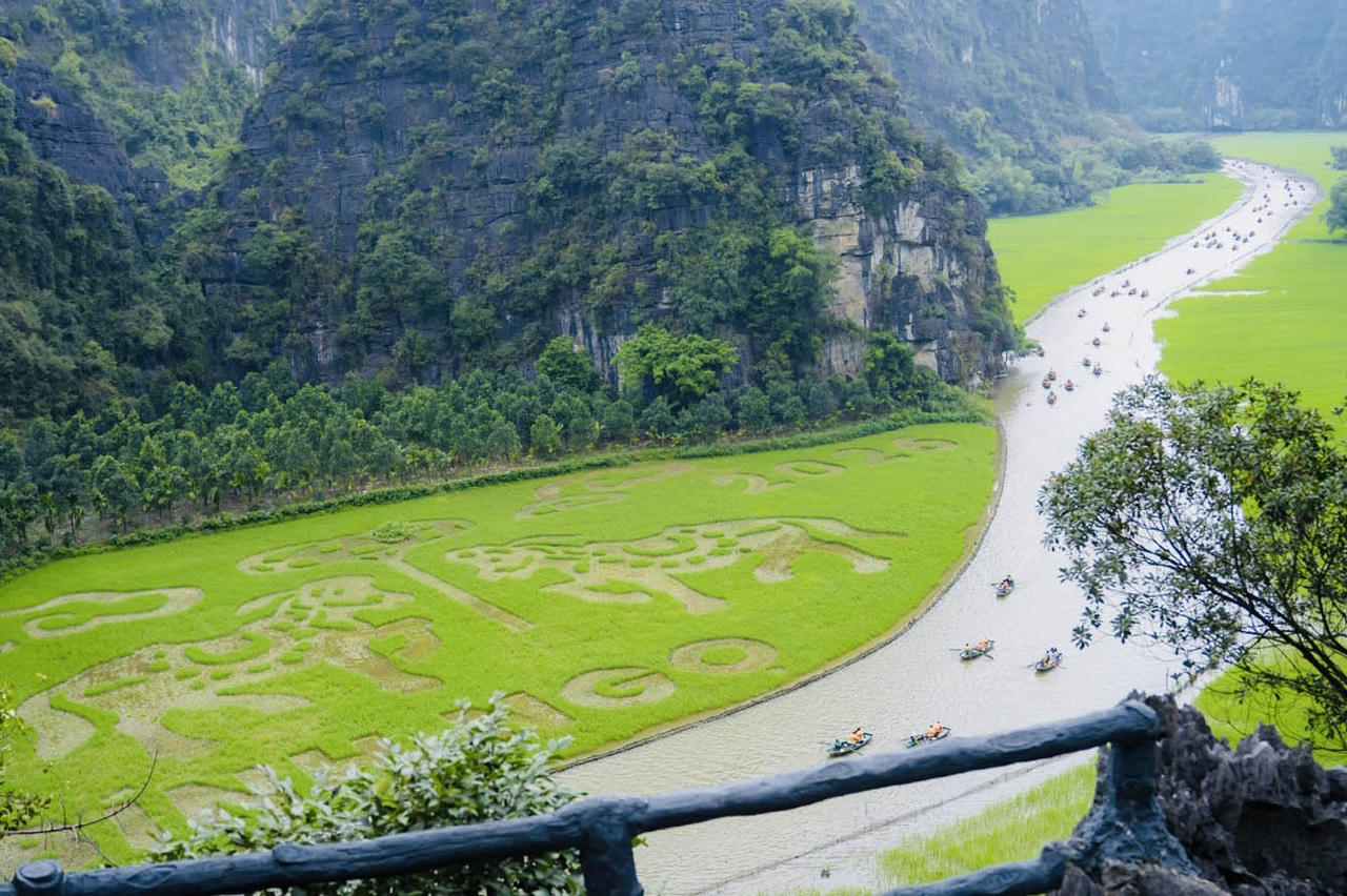 Từ tr&ecirc;n cao, h&igrave;nh ảnh hai ch&uacute; ngựa được tạo h&igrave;nh từ l&uacute;a đẹp như một bức tranh nổi bật tr&ecirc;n s&ocirc;ng Ng&ocirc; Đồng. (Ảnh: B&iacute;ch Ngọc)