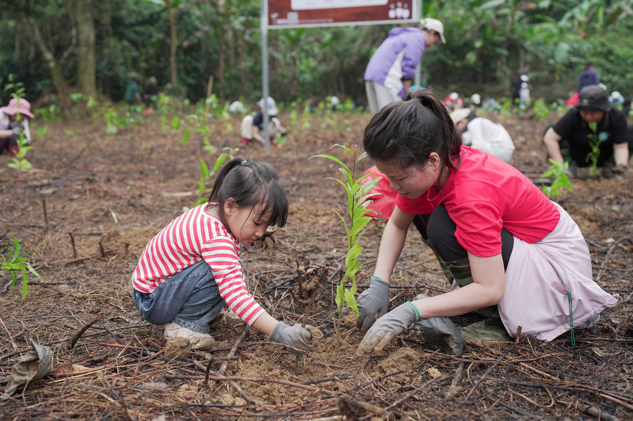 Hưởng ứng Ng&agrave;y Thế giới Trồng c&acirc;y (21/3) v&agrave; &ldquo;Tết trồng c&acirc;y mừng Xu&acirc;n B&iacute;nh Ngọ&rdquo;, Trung t&acirc;m Bảo tồn Thi&ecirc;n nhi&ecirc;n Gaia đ&atilde; khởi động chuỗi hoạt động trồng 17.000 c&acirc;y gỗ lớn.