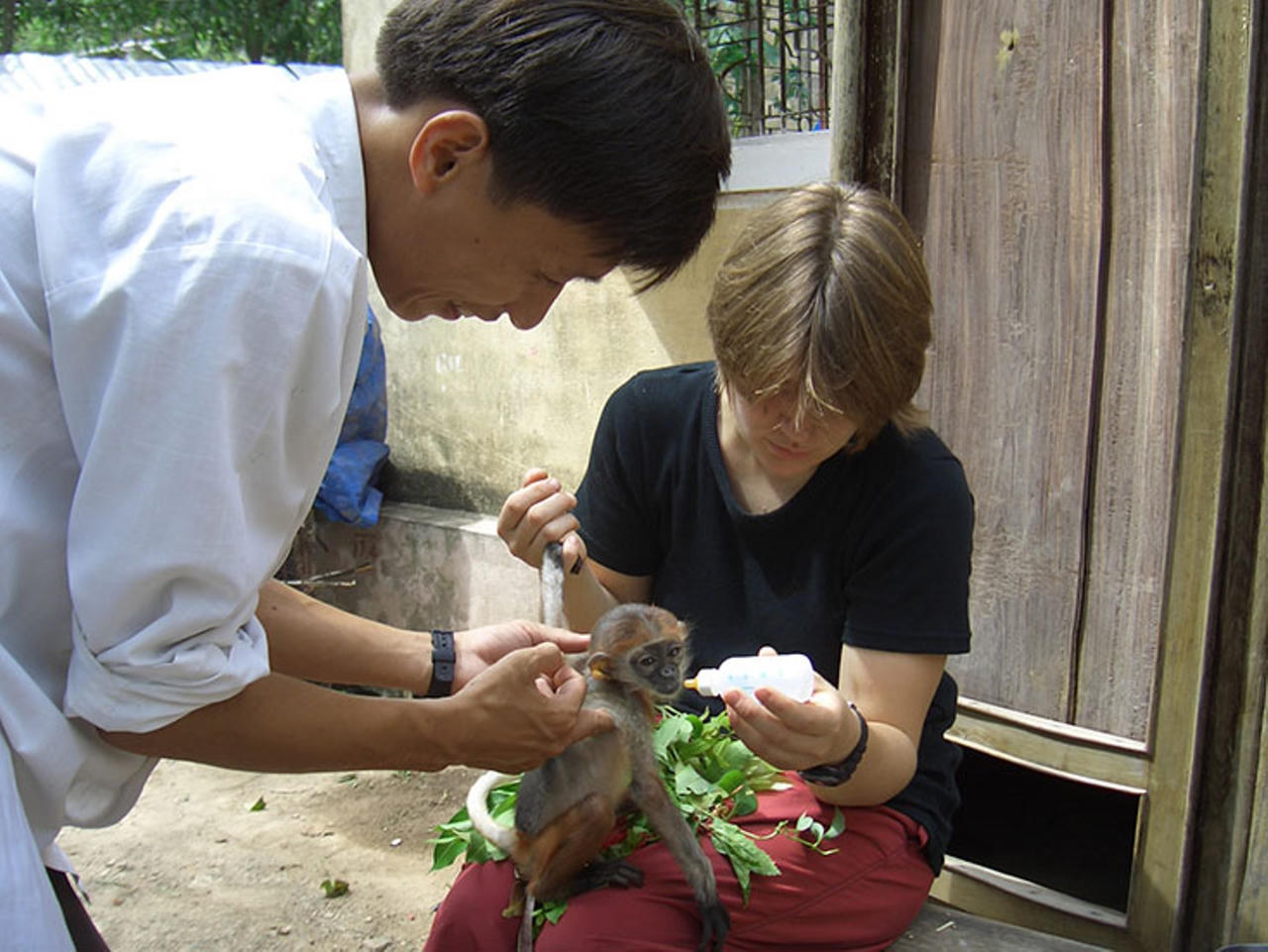 Động vật được c&aacute;c chuy&ecirc;n gia cứu hộ, chăm s&oacute;c kỹ lưỡng trước khi t&aacute;i thả về m&ocirc;i trường tự nhi&ecirc;n.&nbsp;Ảnh: V. L