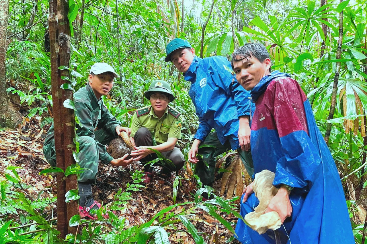 Thả động vật hoang d&atilde; về m&ocirc;i trường tự nhi&ecirc;n được Ban quản l&yacute; VQG Phong Nha - Kẻ B&agrave;ng thực hiện thường xuy&ecirc;n.&nbsp;Ảnh: V. L