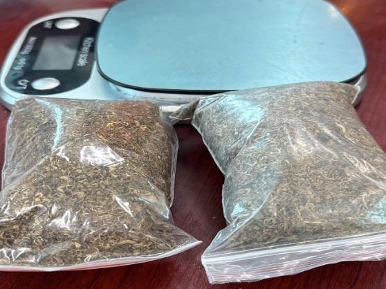 Kết quả gi&aacute;m định cho thấy c&aacute;c mẫu vật thu giữ đều chứa chất ma t&uacute;y tổng hợp MDMB-4en-PINACA &ndash; chất thuộc danh mục cấm. Đ&acirc;y l&agrave; loại ma t&uacute;y thường được tẩm v&agrave;o thuốc l&aacute;, thuốc l&agrave;o hoặc cỏ kh&ocirc; để sử dụng, g&acirc;y ảo gi&aacute;c mạnh, t&aacute;c động trực tiếp đến hệ thần kinh trung ương, khiến người d&ugrave;ng mất kiểm so&aacute;t h&agrave;nh vi, tiềm ẩn nguy cơ cao đối với an ninh, trật tự.