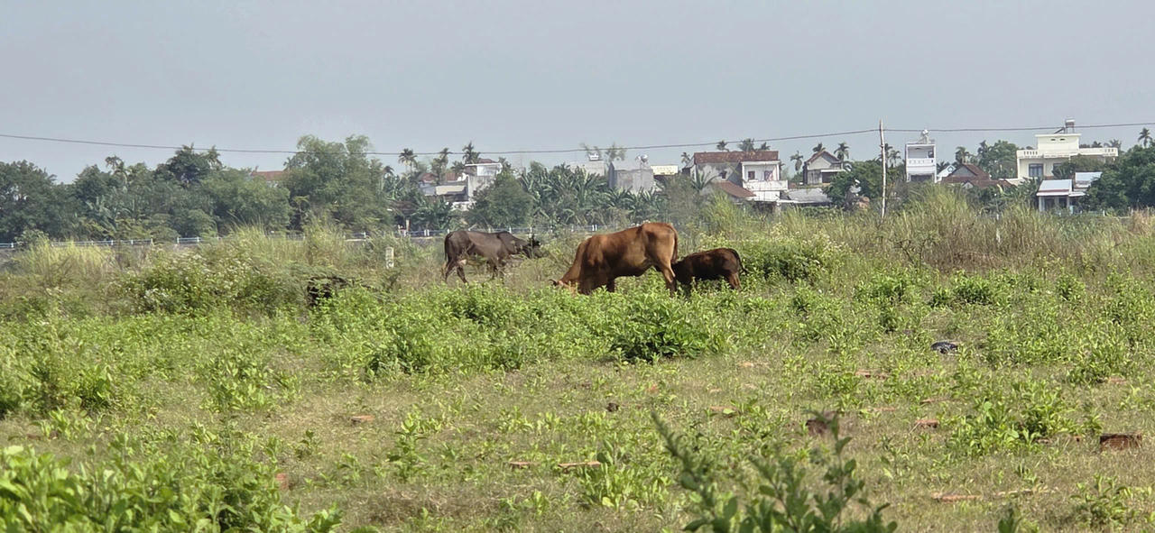 B&ecirc;n trong dự &aacute;n đ&atilde; bỏ hoang nhiều năm.  (Ảnh trong b&agrave;i: H.Vũ)