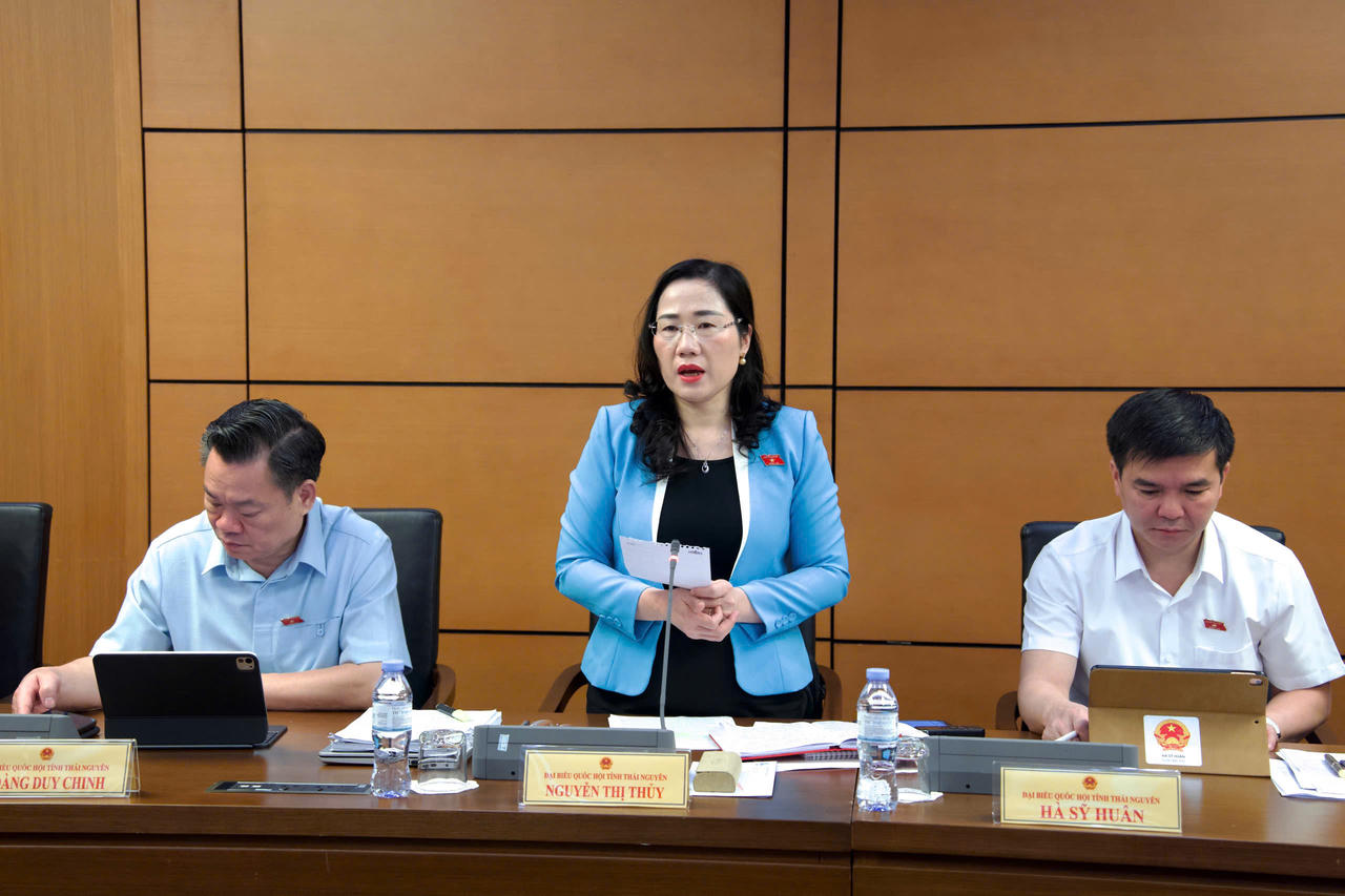 Đại biểu Nguyễn Thị Thủy, ĐBQH tỉnh Th&aacute;i Nguy&ecirc;n ph&aacute;t biểu.(Ảnh:quochoi.vn)