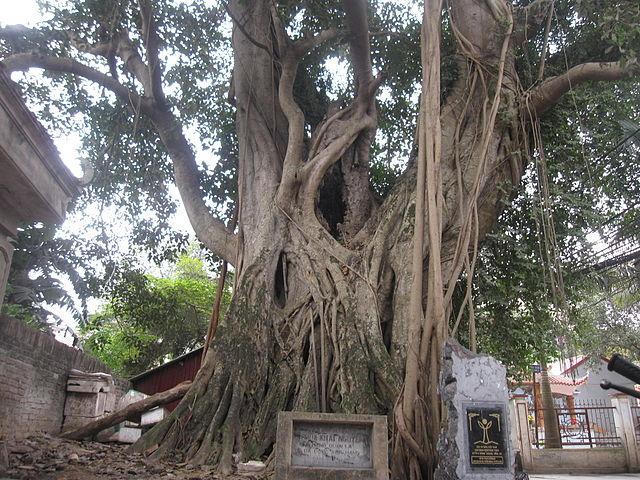 Lễ Giỗ Tổ chùa Khai Nguyên, mạch nguồn tâm linh và văn hóa giữa lòng Tây Hồ