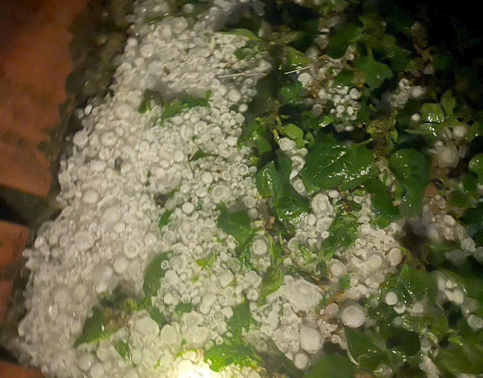 Mưa đ&aacute; trong đ&ecirc;m g&acirc;y sập nh&agrave; s&agrave;n, 4 người bị thương ở Bắc H&agrave; (L&agrave;o Cai)