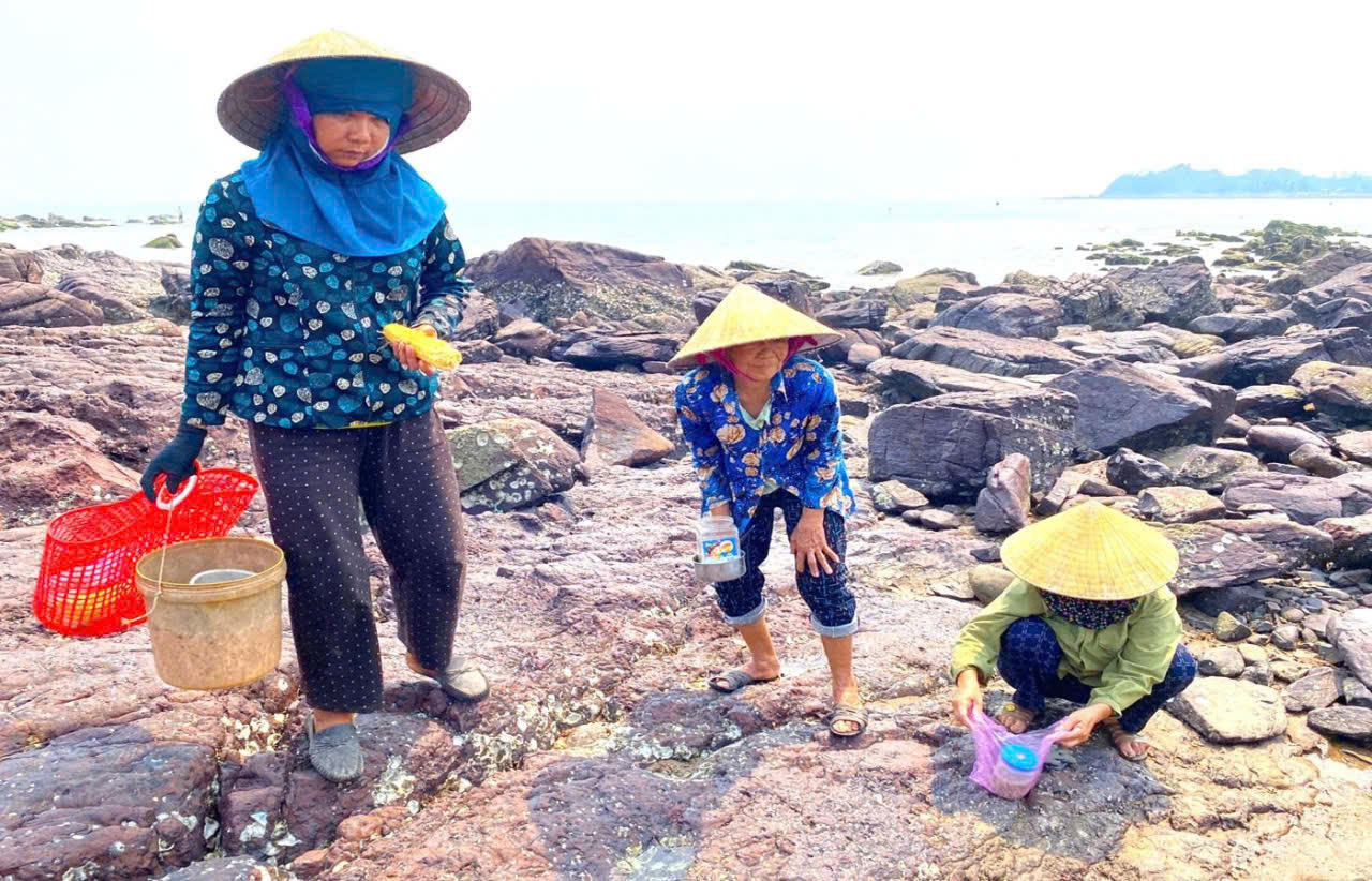 Nghề đục h&agrave;u, một c&ocirc;ng việc nhọc nhằn, tiềm ẩn nhiều hiểm nguy nhưng đ&atilde; gắn b&oacute; với những phụ nữ n&agrave;y suốt nhiều năm th&aacute;ng.