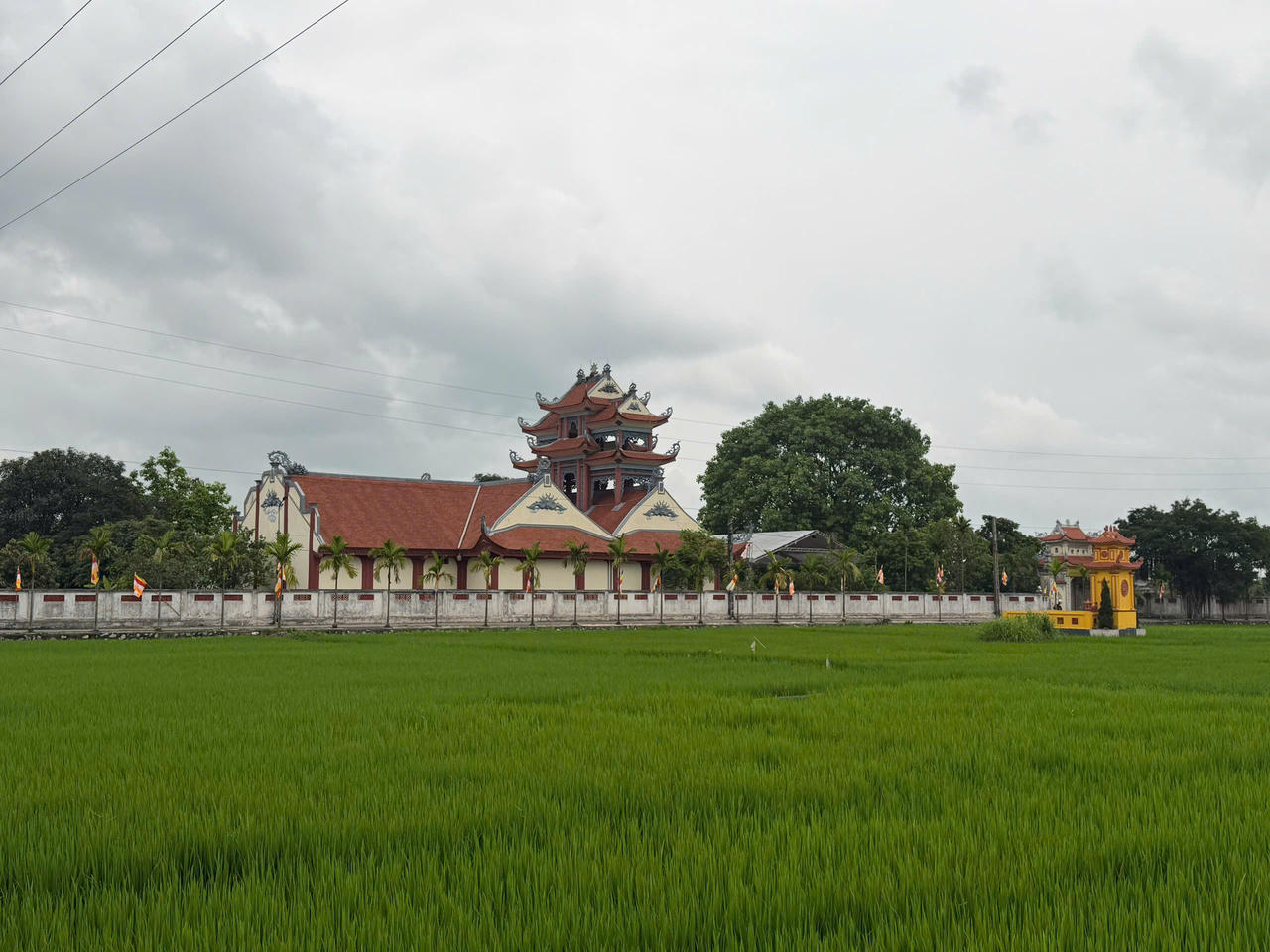 Ch&ugrave;a Đo&agrave;i L&acirc;m (l&agrave;ng Ng&aacute;i Dừa, x&atilde; Kiến Xương, tỉnh Hưng Y&ecirc;n), ng&ocirc;i ch&ugrave;a nơi Trưởng l&atilde;o H&ograve;a thượng Th&iacute;ch Thanh Dục vi&ecirc;n tịch v&agrave; dự kiến được cung thỉnh kim quan nhập Bảo th&aacute;p trong khu&ocirc;n vi&ecirc;n Ch&ugrave;a.