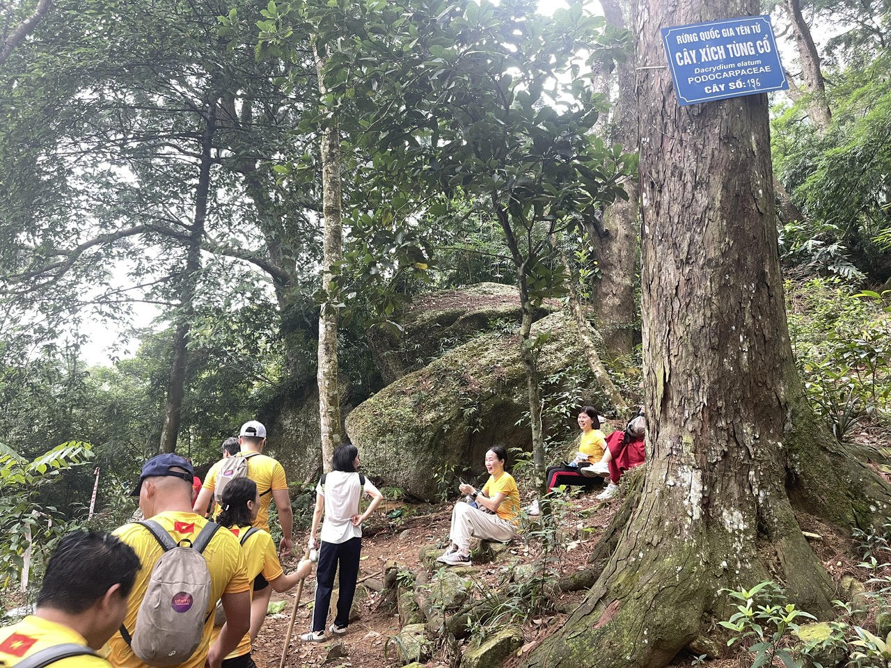 Hơn 1.000 runner Chinh phục đỉnh Phù Vân