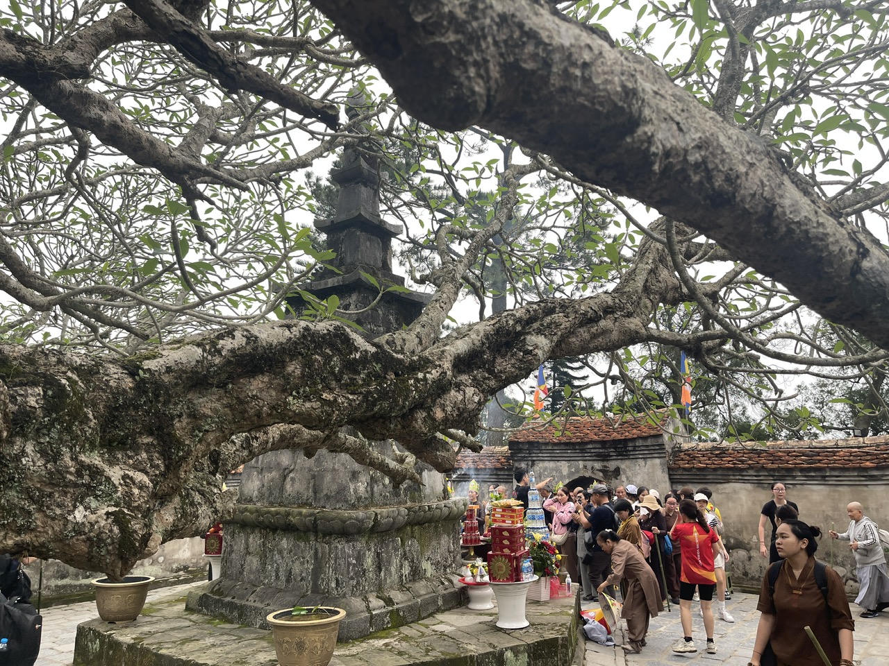 Hơn 1.000 runner Chinh phục đỉnh Ph&ugrave; V&acirc;n