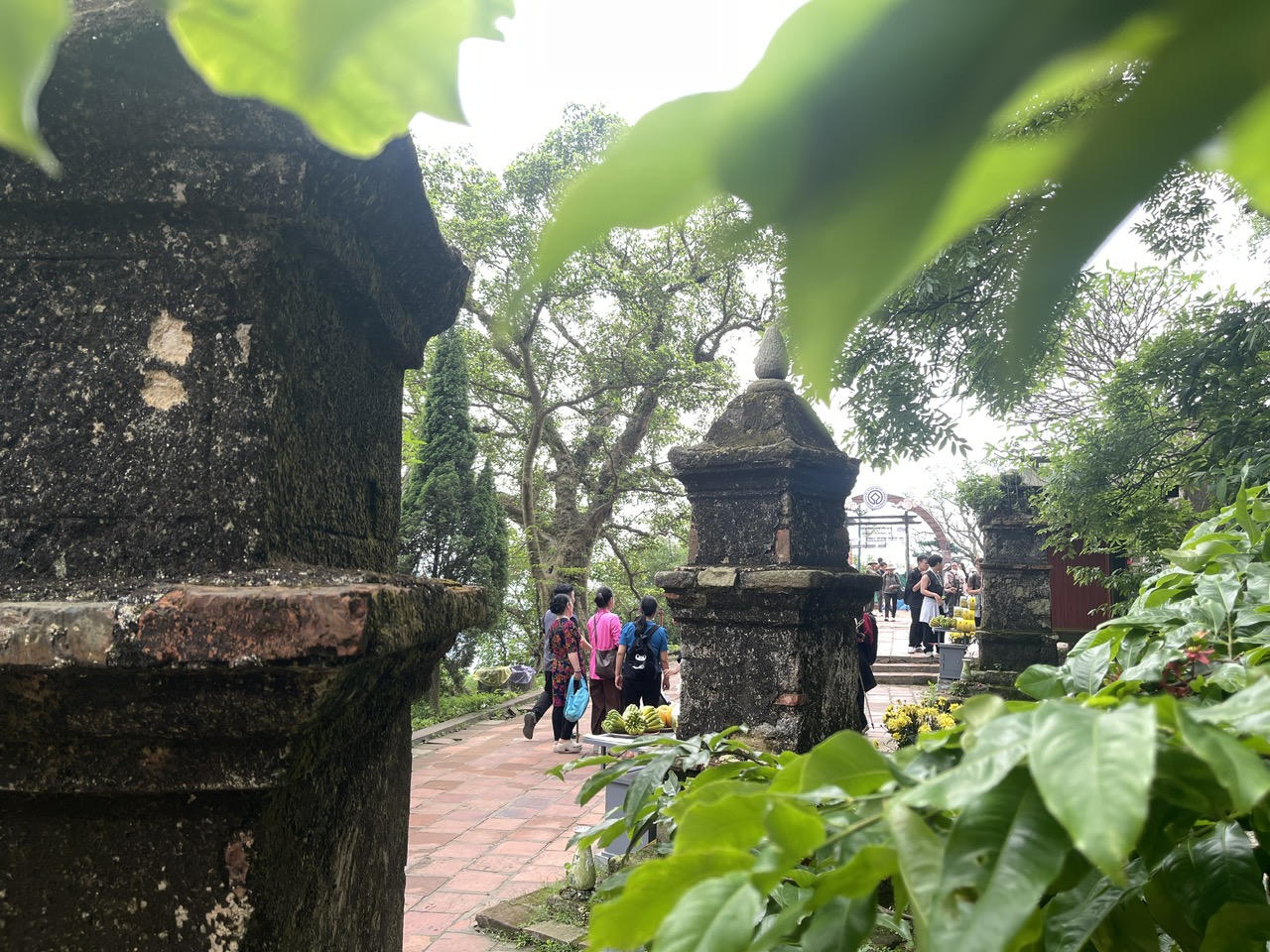 Hơn 1.000 runner Chinh phục đỉnh Phù Vân