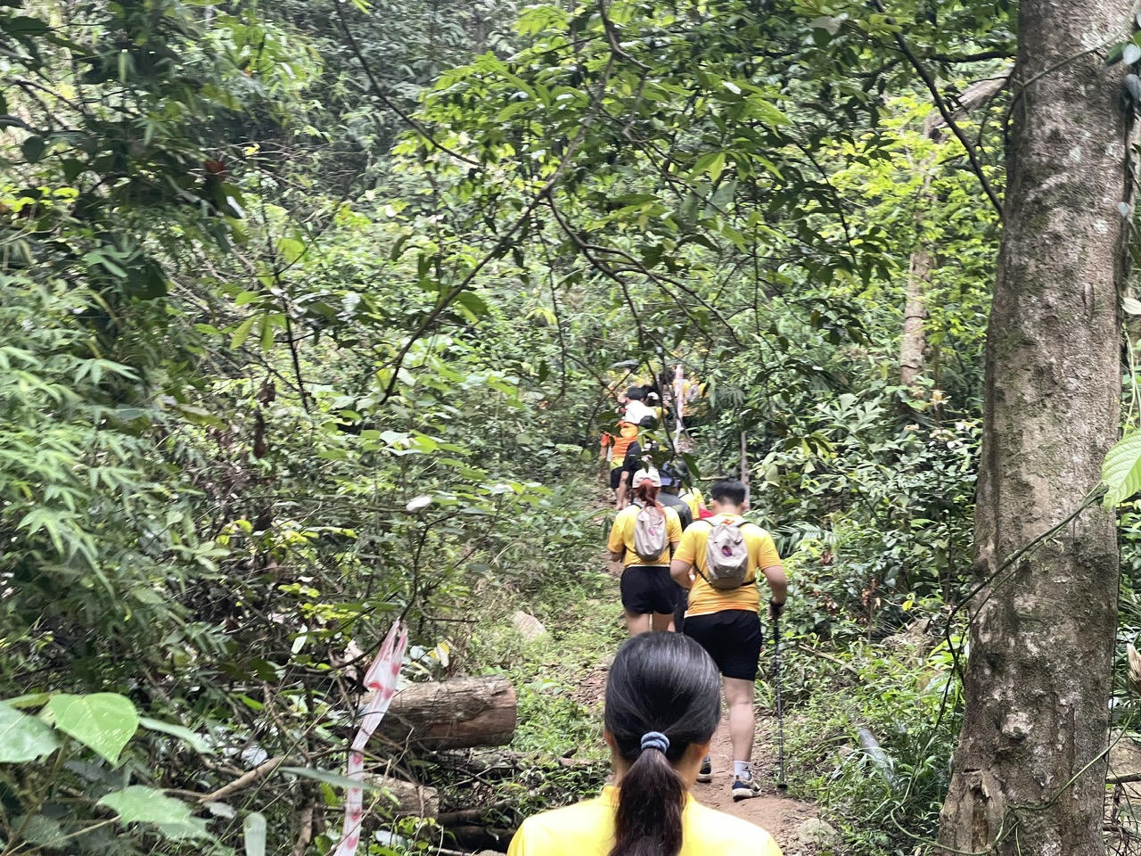 Hơn 1.000 runner Chinh phục đỉnh Phù Vân