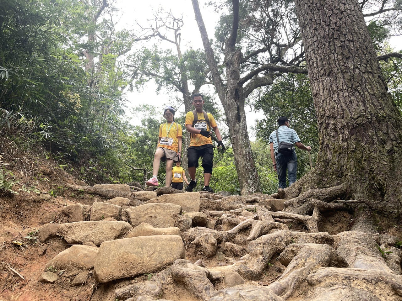 Hơn 1.000 runner Chinh phục đỉnh Phù Vân