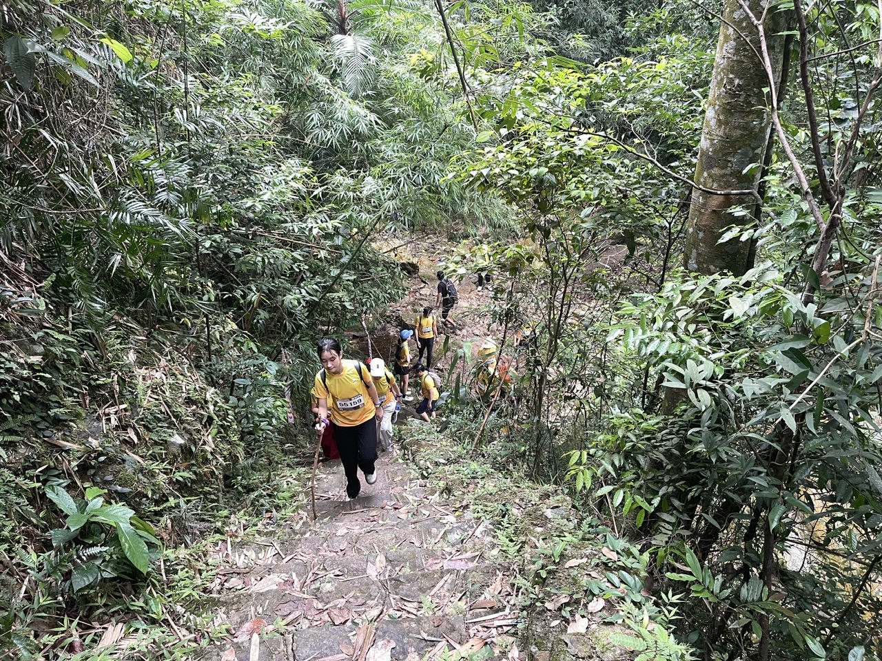 Hơn 1.000 runner Chinh phục đỉnh Phù Vân