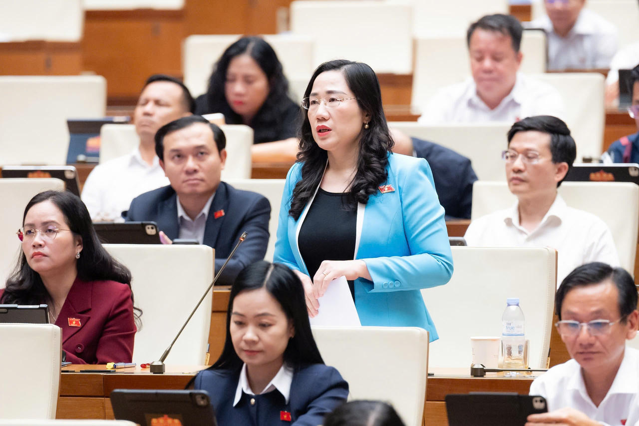 Đại biểu Nguyễn Thị Thủy ph&aacute;t biểu tại phi&ecirc;n họp.